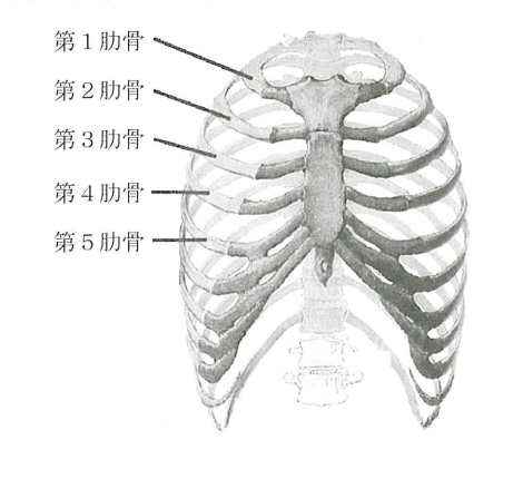 41-AM-Q004 公式図表