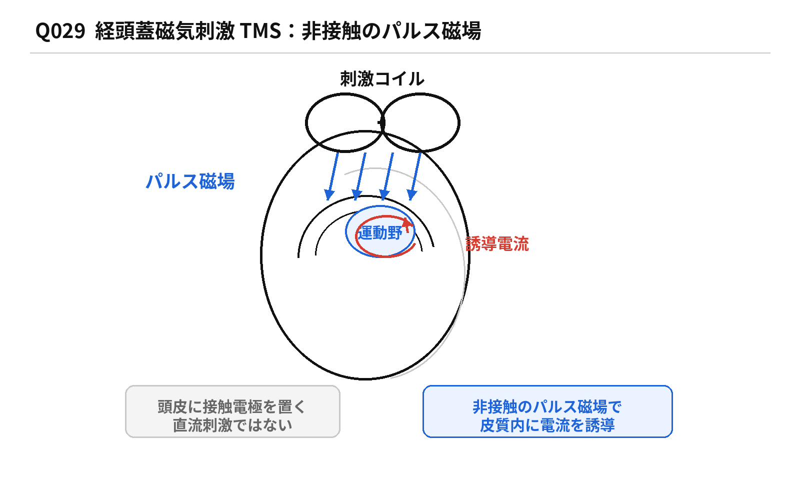 第45回AM 問題29の解説図: TMSパルス磁場