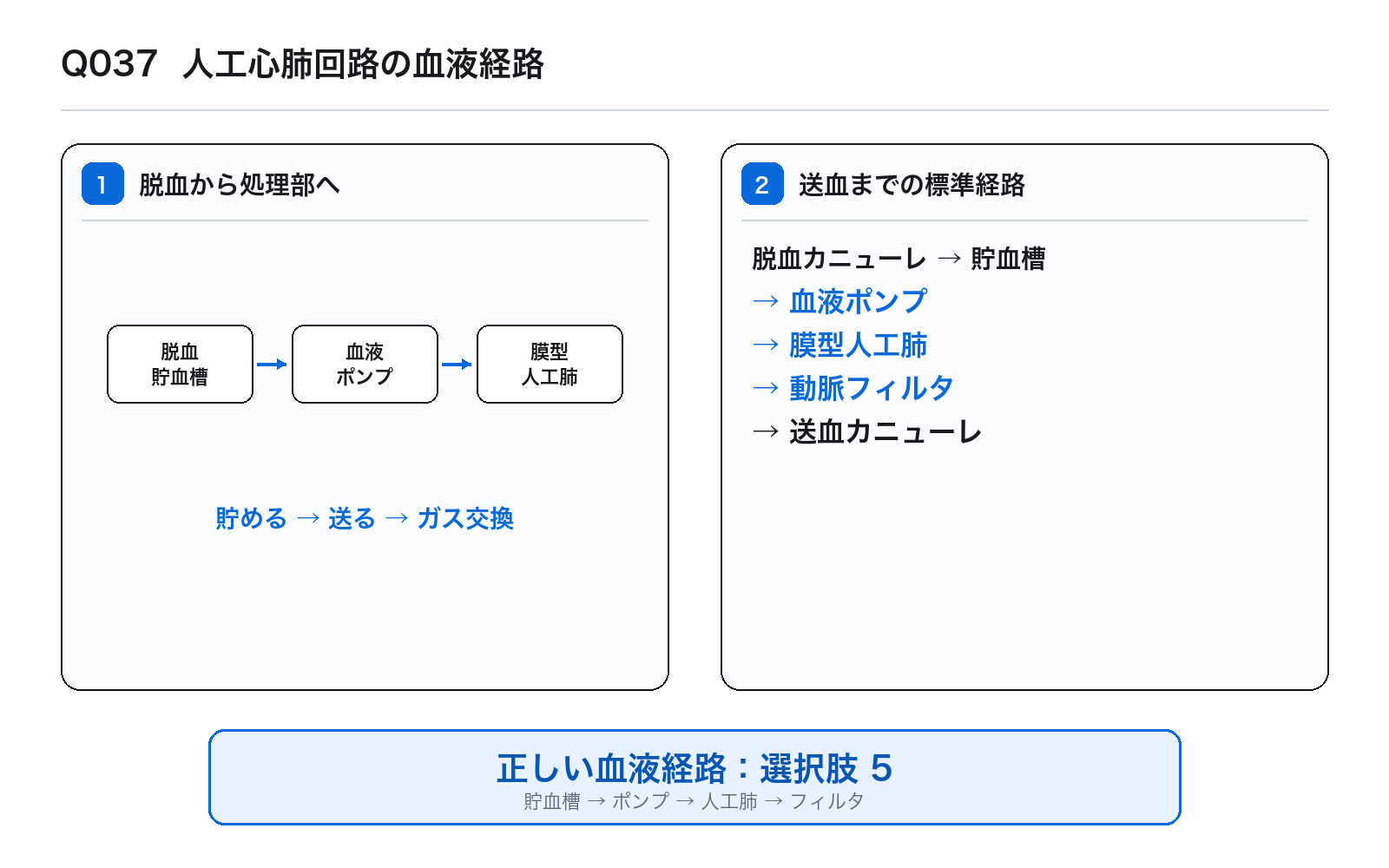 第45回AM 問題37の解説図: 人工心肺回路の血液経路
