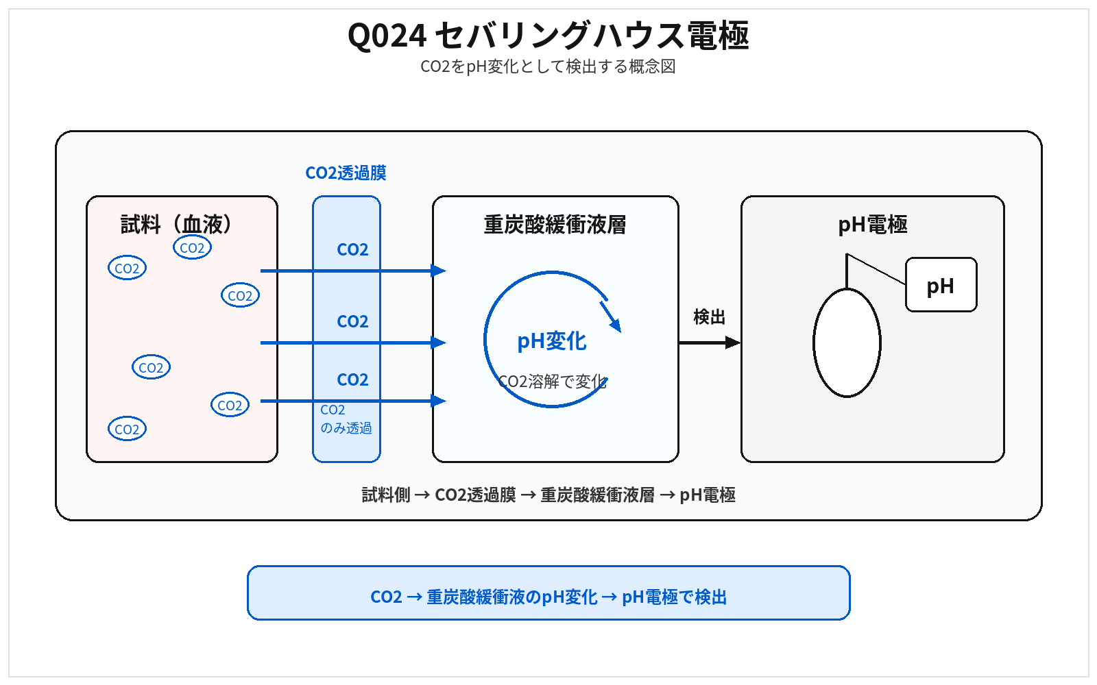 第46回AM 問題24の解説用図表: セバリングハウス電極