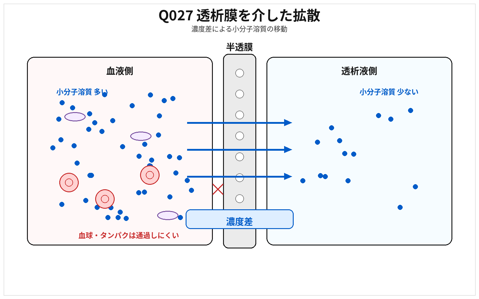 第46回AM 問題27の解説用図表: 透析膜拡散