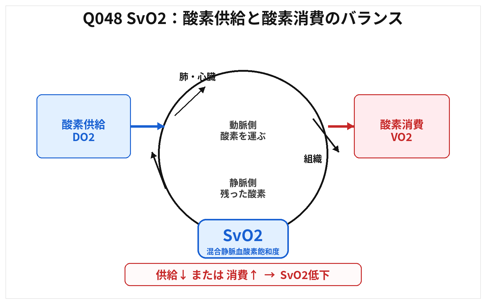 第46回AM 問題48の解説用図表: SvO2