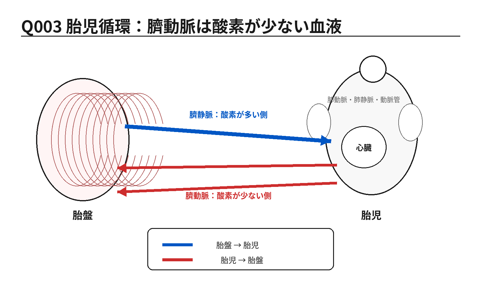 第46回PM 問題3の解説用図表: 胎児循環と酸素飽和度