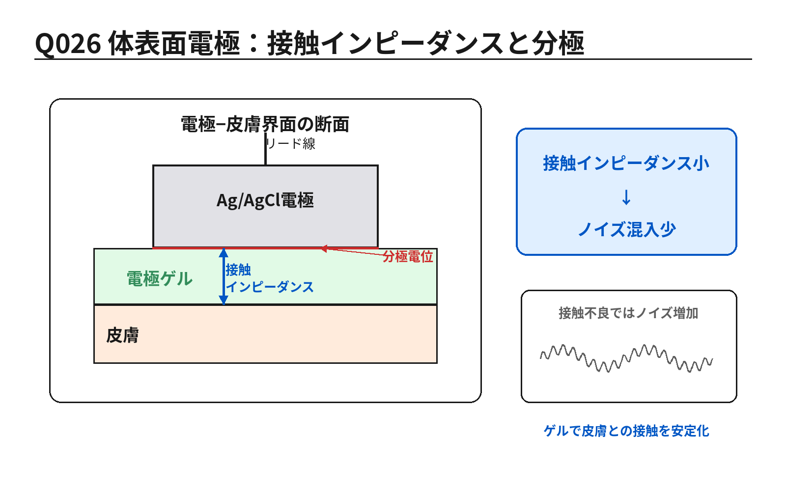 第46回PM 問題26の解説用図表: 体表面電極の接触インピーダンスと分極